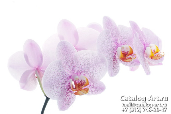 картинки для фотопечати на потолках, идеи, фото, образцы - Потолки с фотопечатью - Розовые орхидеи 33